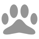 cats paw