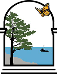 monarch butterfly